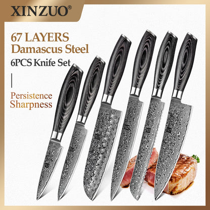 XINZUO 6 PCS Kitchen Knives Set VG10 Damascus Steel High Carbon Japanese Chef Santoku Utility Knife Cooking Set Pakkawood Handle