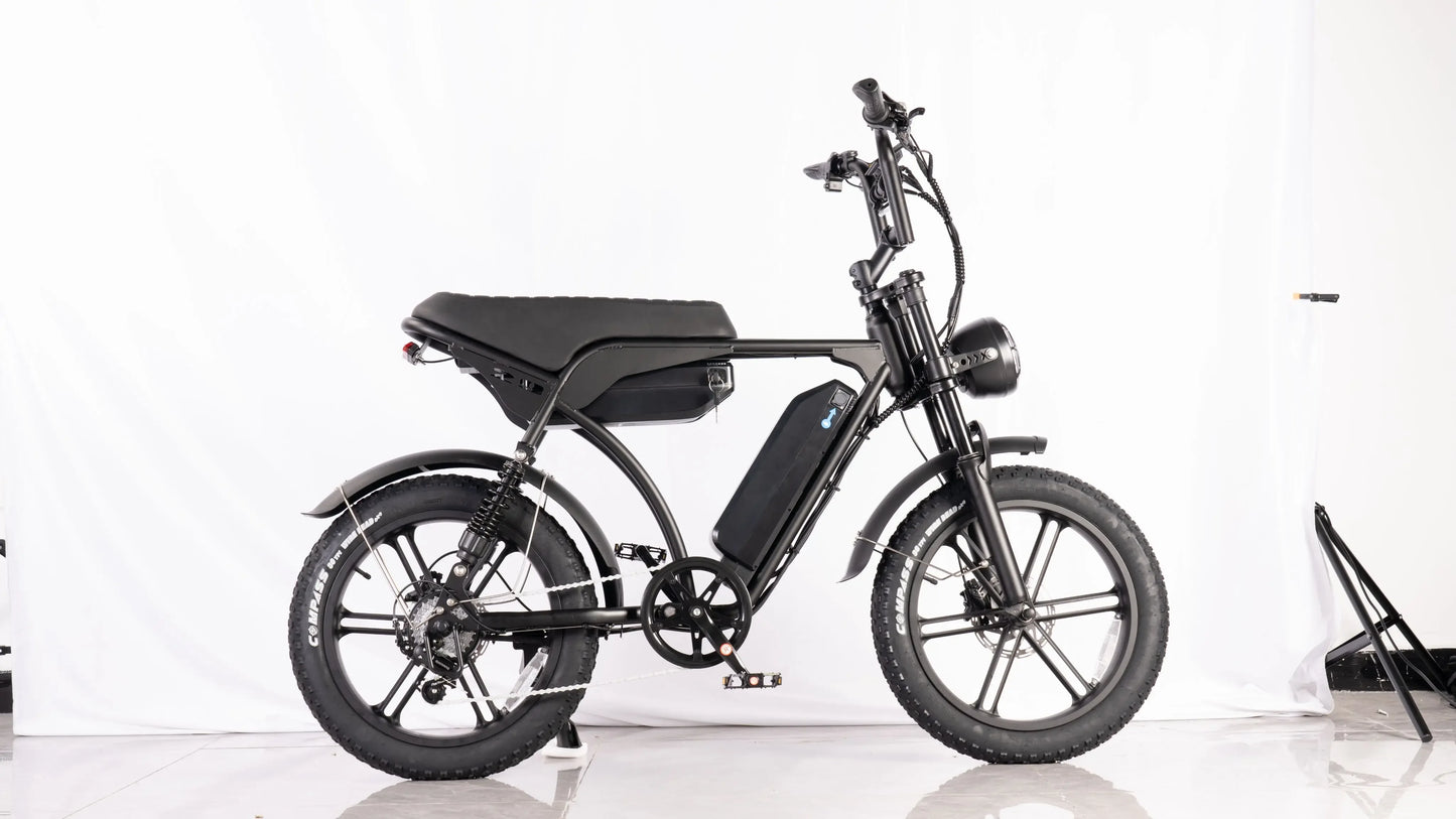 2024 New V29 1000W 48V 30AH Dual battery hydraulic brake electric bicycle Integrated whe City electric bike Snow 20*4.0 fat tire