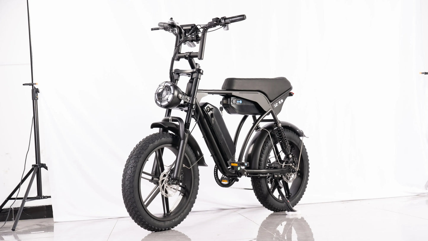 2024 New V29 1000W 48V 30AH Dual battery hydraulic brake electric bicycle Integrated whe City electric bike Snow 20*4.0 fat tire