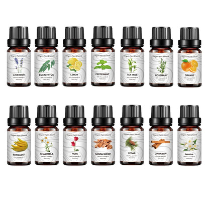 14 Piece Cross border Unilateral Essential Oil Set Box Unisex 14 Pack Body Set 10ml - MarvelouStoree