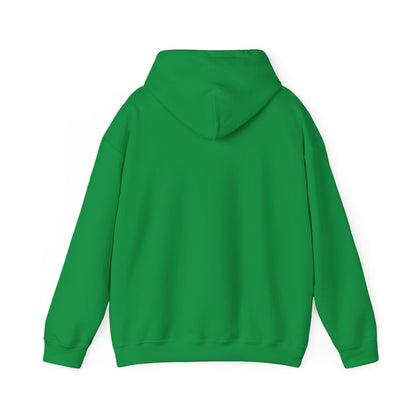 Women Heavy Blend™ Hooded Sweatshirt