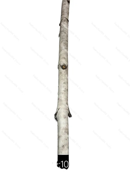 Marveloustoree.com  luminous outdoor simulation luminous tree decorative light luminous tree bedroom white birch trunk