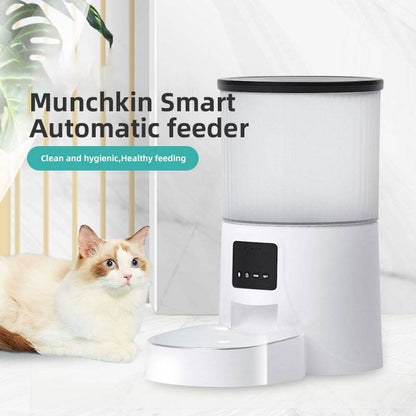 Wifi Smart APP Pet Feeder Household use Microchip Dog Automatic Pet Feeder Automatic Pet Feeder - MarvelouStoree