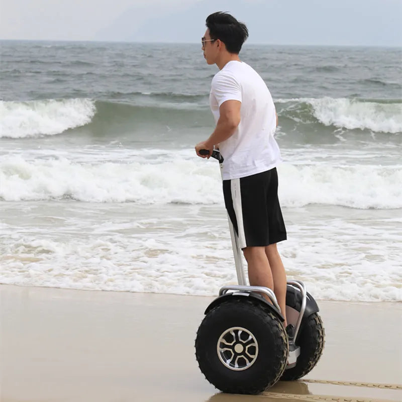 Daibot Powerful Electric Scooter 19 Inch Two Wheesl Self Balancing Scooters Off Road Hoverboard Skateboard For Adults Big Wheel