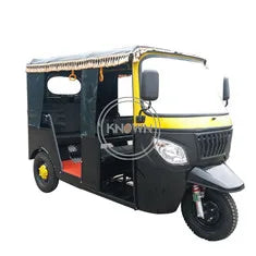 3 Wheels Adult Electric Tricycle Family Enclosed Passenger Tricycle Mobility Scooter TukTuk Car Hot Sale