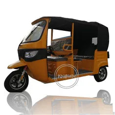 3 Wheels Adult Electric Tricycle Family Enclosed Passenger Tricycle Mobility Scooter TukTuk Car Hot Sale