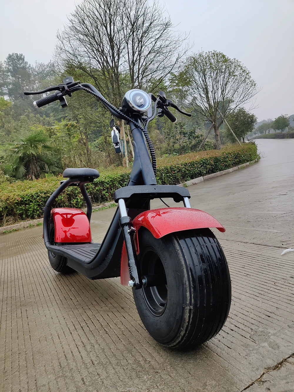 [USA Stock]Two Wheels Big Tire Trike Adult Tricycle Citycoco 2 Wheel Electric Scooter 3000W Fat Bike Tire