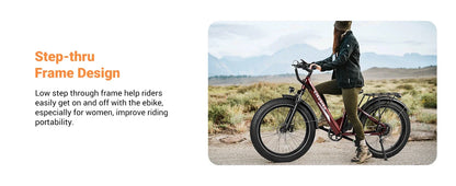 ALander S Adults.2849 Certified.26 Inch Fat Tire Mountain Ebike Step Through E-bike with 720W Motor.Speed