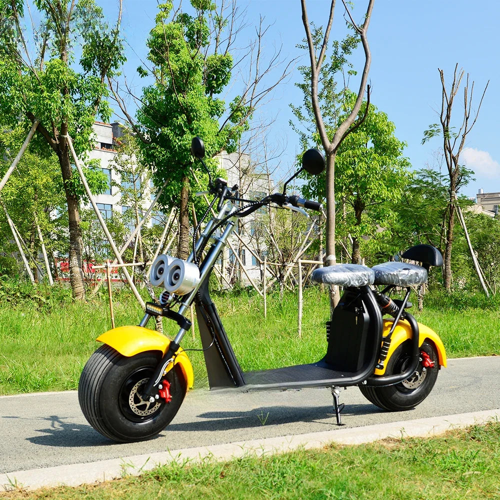 1000W 1500W 2000W 2 wheel electric scooter Citycoco electric scooter with removable lithium battery