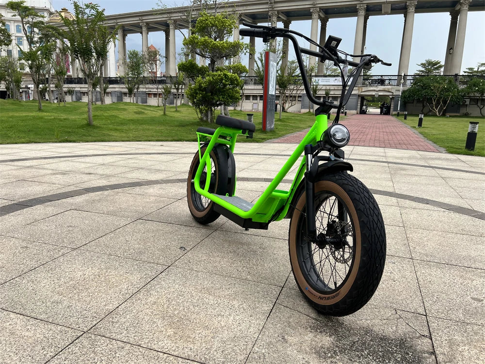 Newest two fat wheels Electric Motorcycle, powerful 1000w 48v motor changeable battery CITYCOCO with LCD Display