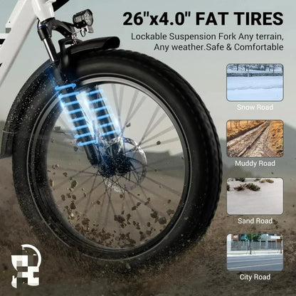 ALander S Adults.2849 Certified.26 Inch Fat Tire Mountain Ebike Step Through E-bike with 720W Motor.Speed