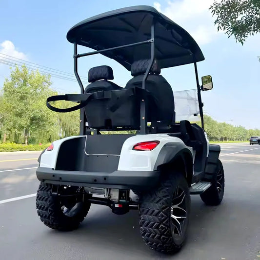 Hot Sale 48V Lithium Battery Powered Golf Car Adults Scooter 2 Seater Off Road Beach Electric Golf Cart Buggy