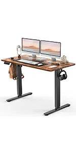 Standing Desk, Adjustable Height Electric Sit Stand Up Down Computer Table, 48x24 Inch Ergonomic Rising Desks for Work - MarvelouStoree