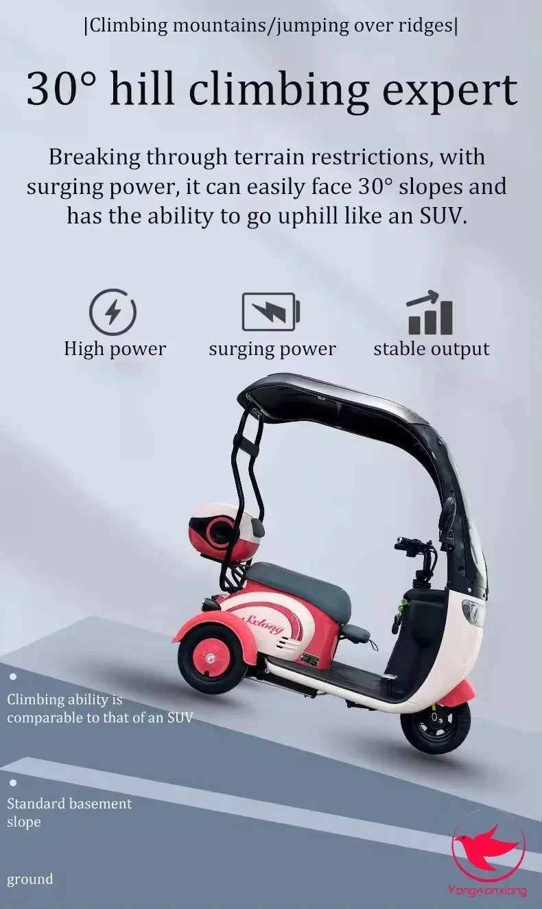 Mobility Scooter Adult Elderly Passenger Electric Tricycle With Roof Disability Mini Small Electric Scooter With Shed 3 Wheels