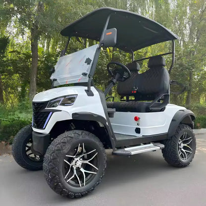 Hot Sale 48V Lithium Battery Powered Golf Car Adults Scooter 2 Seater Off Road Beach Electric Golf Cart Buggy