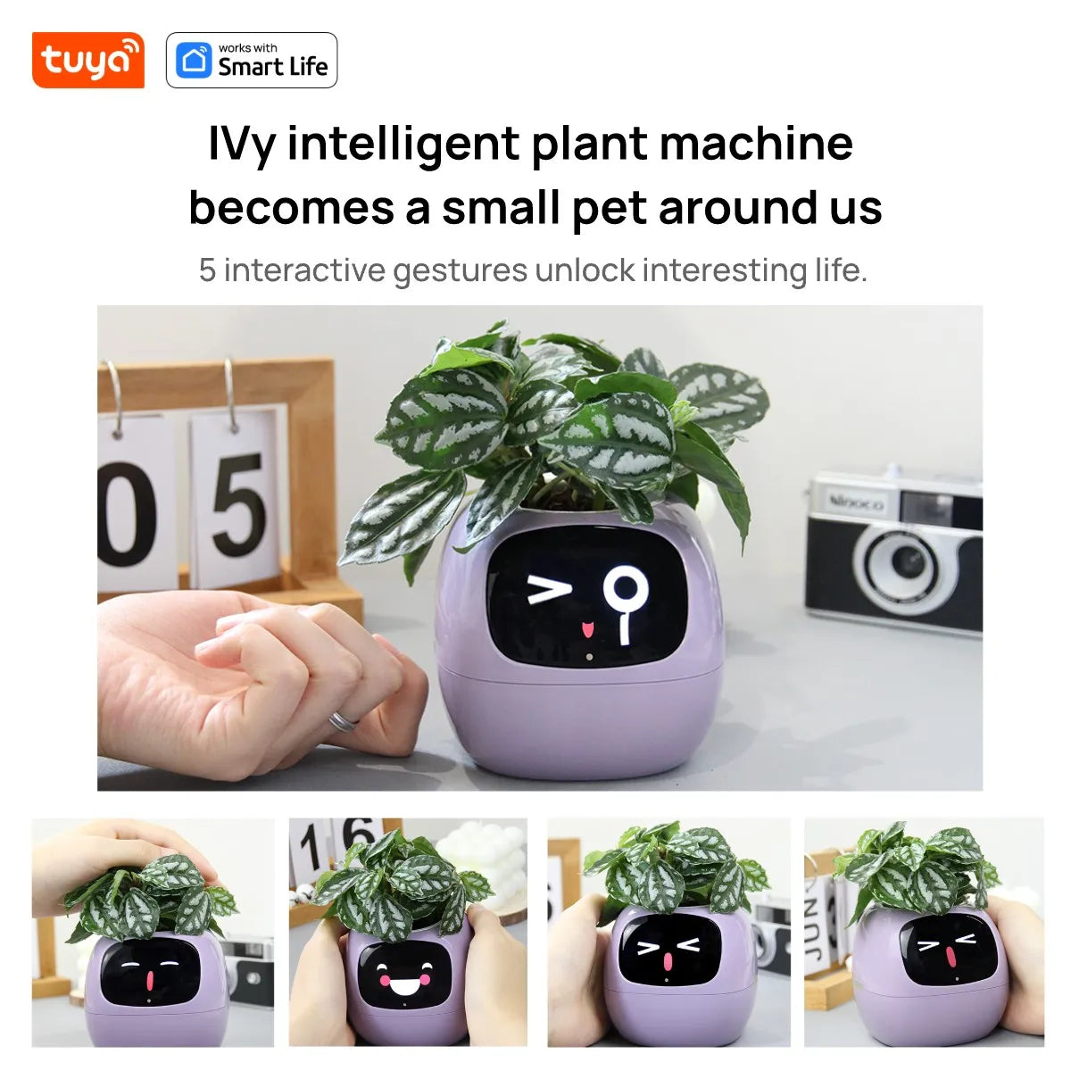 Purple Tuya Ivy Smart Planter,Endless Fun Over 49 Rich Expressions,7 smart sensors and AI Chips Make Raising Plants Easy and Fun