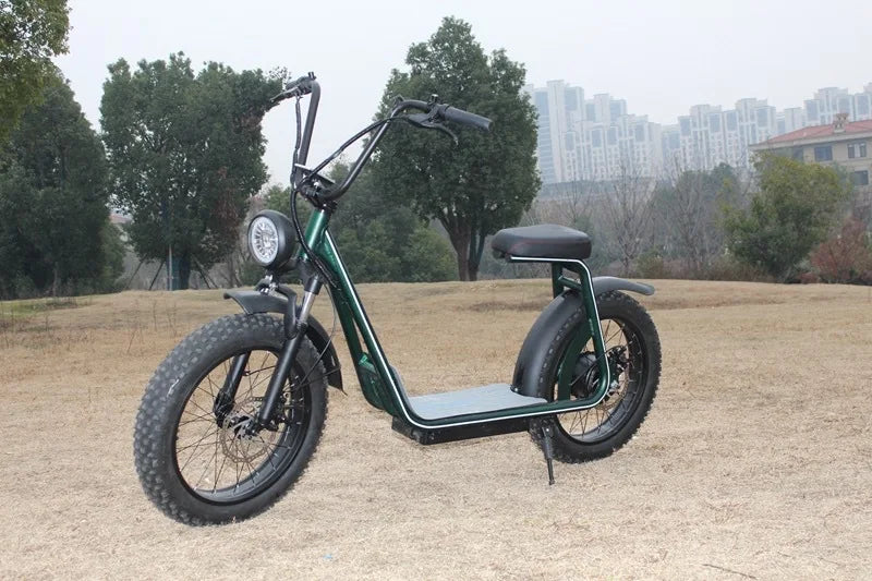 2024 Electric Motorcycle 70KM/h Electric Scooter 1000W 60V 2 Wheel Citycoco scooter