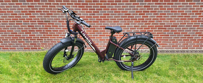 ALander S Adults.2849 Certified.26 Inch Fat Tire Mountain Ebike Step Through E-bike with 720W Motor.Speed