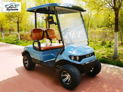 Street Legal 4000W 48V Electric Golf Cart Convertible Sightseeing Golf Cart 2 Seater Lithium Battery Sports Buggy Golf Cart