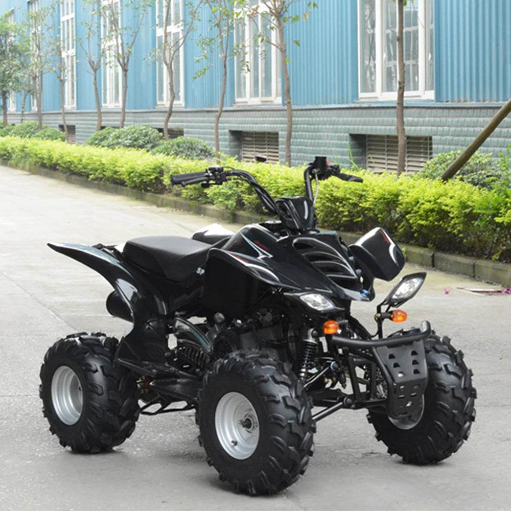 4 Wheeler Quad Bike ATV Farm Quad Bike 250cc 2x4 150cc 4x4 Off Road Farm Quad ATV Bike - MarvelouStoree