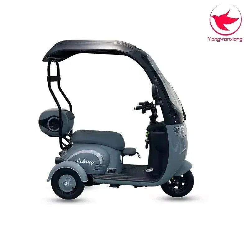 Mobility Scooter Adult Elderly Passenger Electric Tricycle With Roof Disability Mini Small Electric Scooter With Shed 3 Wheels