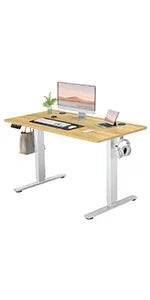 Standing Desk, Adjustable Height Electric Sit Stand Up Down Computer Table, 48x24 Inch Ergonomic Rising Desks for Work - MarvelouStoree