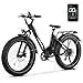 ALander S Adults.2849 Certified.26 Inch Fat Tire Mountain Ebike Step Through E-bike with 720W Motor.Speed