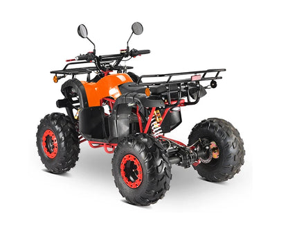 Newest 2022 Deluxe 1000W 2000W 3000W 36V Kids youth Electric Quad Bike ATV Motorbike Off Road UTV for Adult