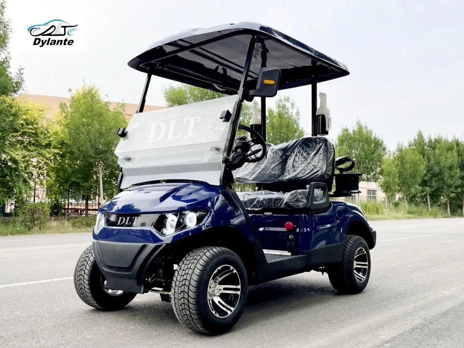 Street Legal 4000W 48V Electric Golf Cart Convertible Sightseeing Golf Cart 2 Seater Lithium Battery Sports Buggy Golf Cart