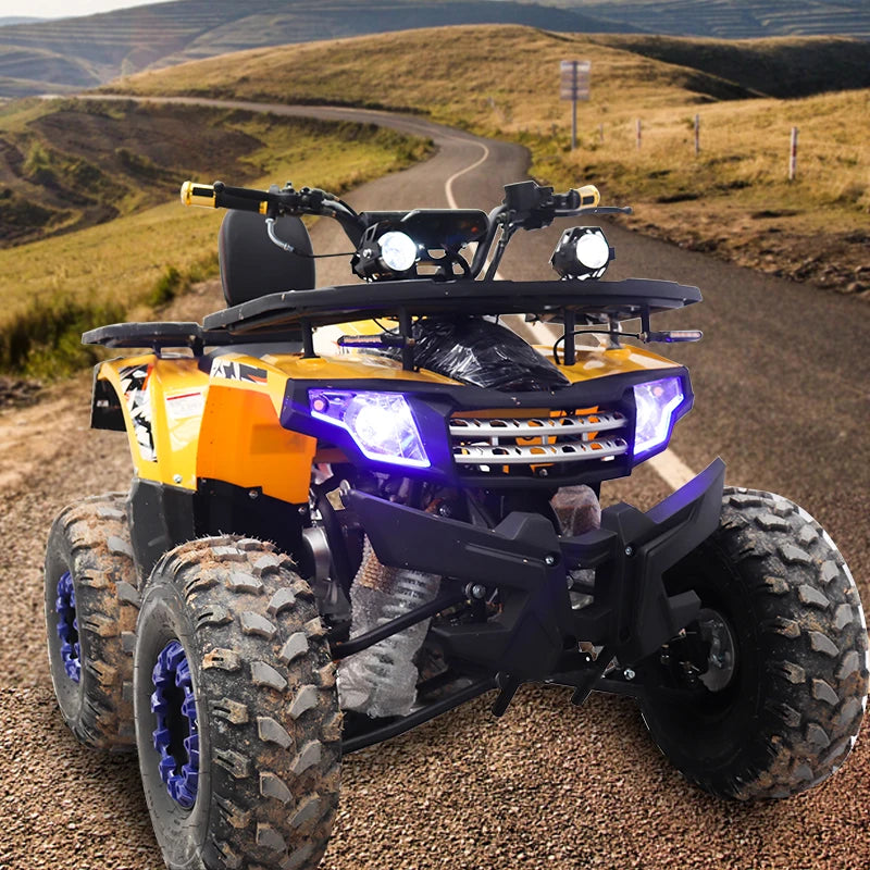 Vehicle 125cc Direct ATV Adult Farm Quad Bike electric 4x4 Atv 4 Wheel 2*4 Wholesale Atv For Adults