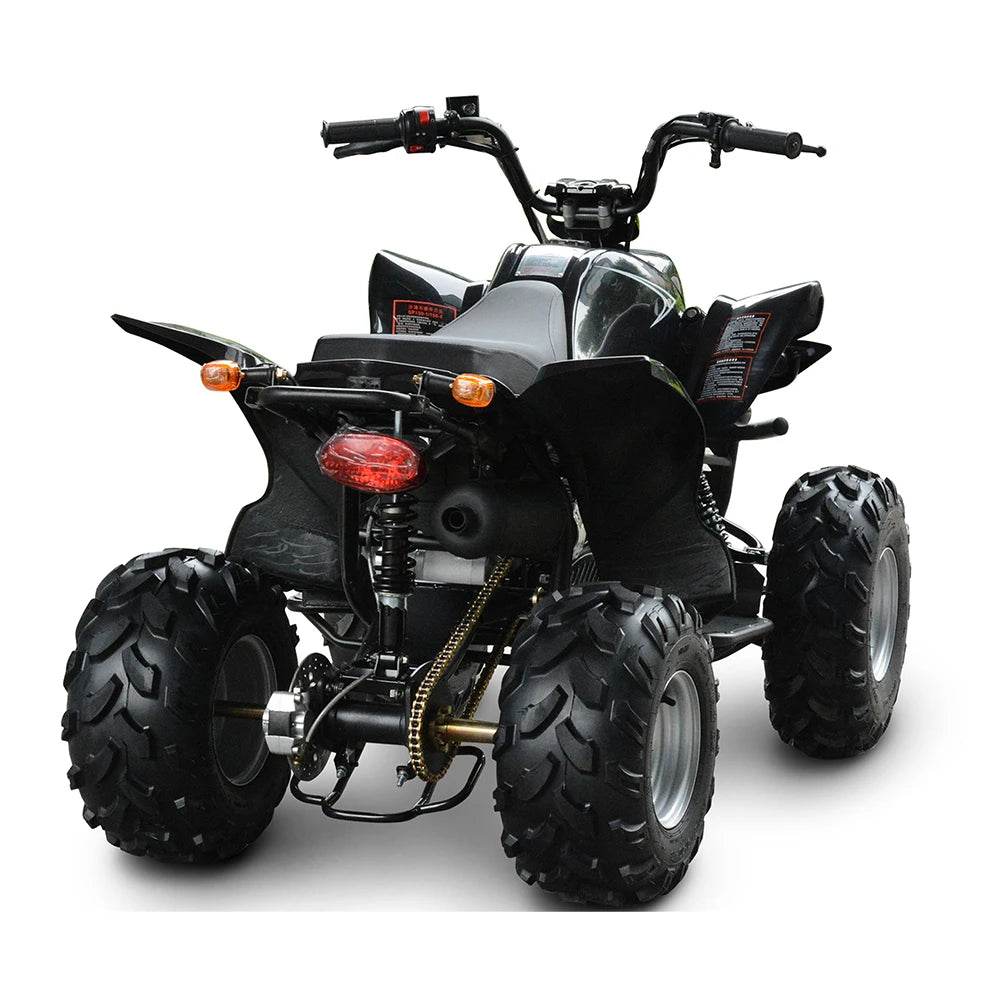 4 Wheeler Quad Bike ATV Farm Quad Bike 250cc 2x4 150cc 4x4 Off Road Farm Quad ATV Bike - MarvelouStoree