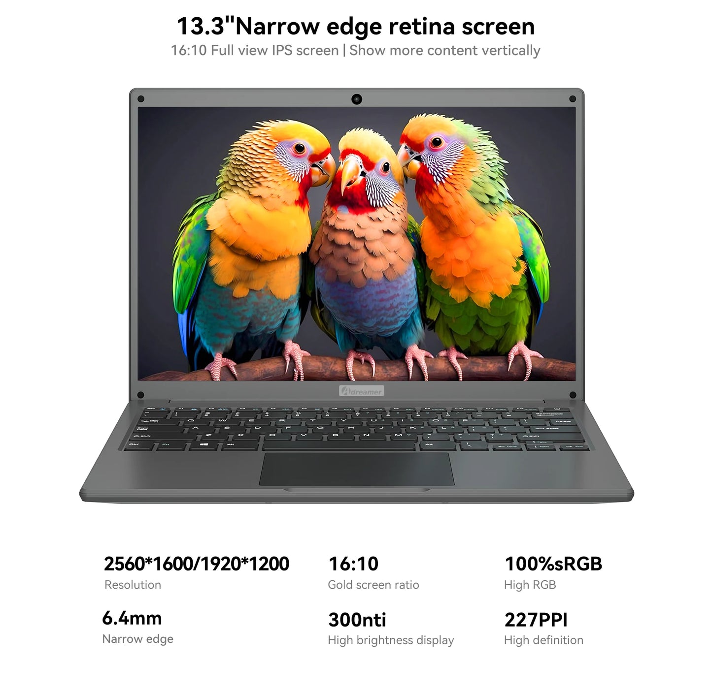 Adreamer LeoBook13 Laptop 8GB RAM 1TB SSD Notebook 13.3-inch 2560X1600 Resolution Computer Intel Celeron N4020 Ship From US