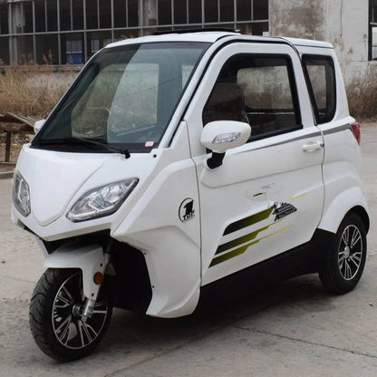 Hot selling 3 passenger mini electric sightseeing car for family - MarvelouStoree