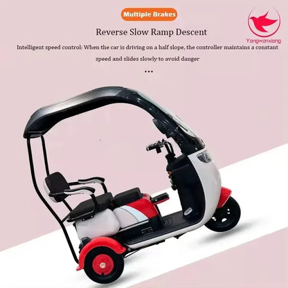 Mobility Scooter Adult Elderly Passenger Electric Tricycle With Roof Disability Mini Small Electric Scooter With Shed 3 Wheels