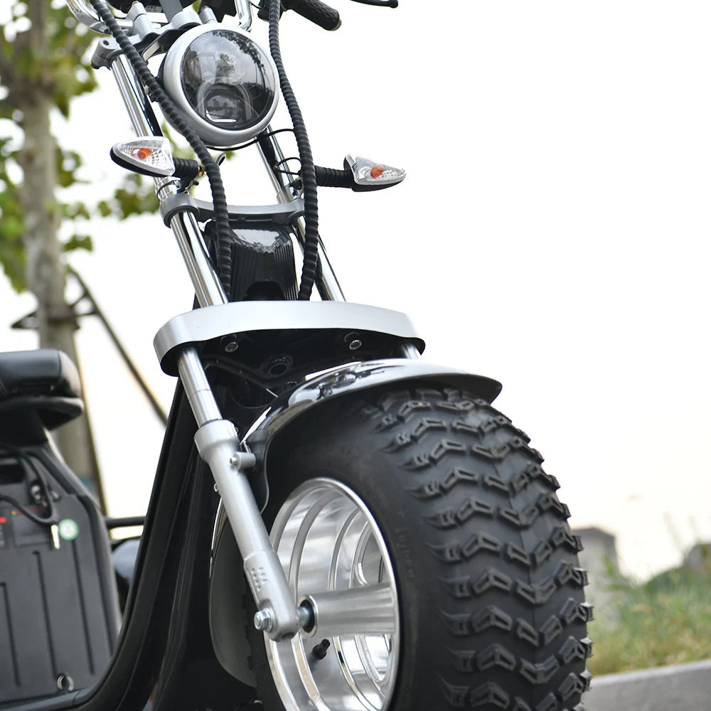 EEC COC Adult Electric 3 Wheel Scooter 2000W Motor Max Speed 40-45KM/H Max Load 250KG 18 Inch Off road Fat Tire Electric Scooter