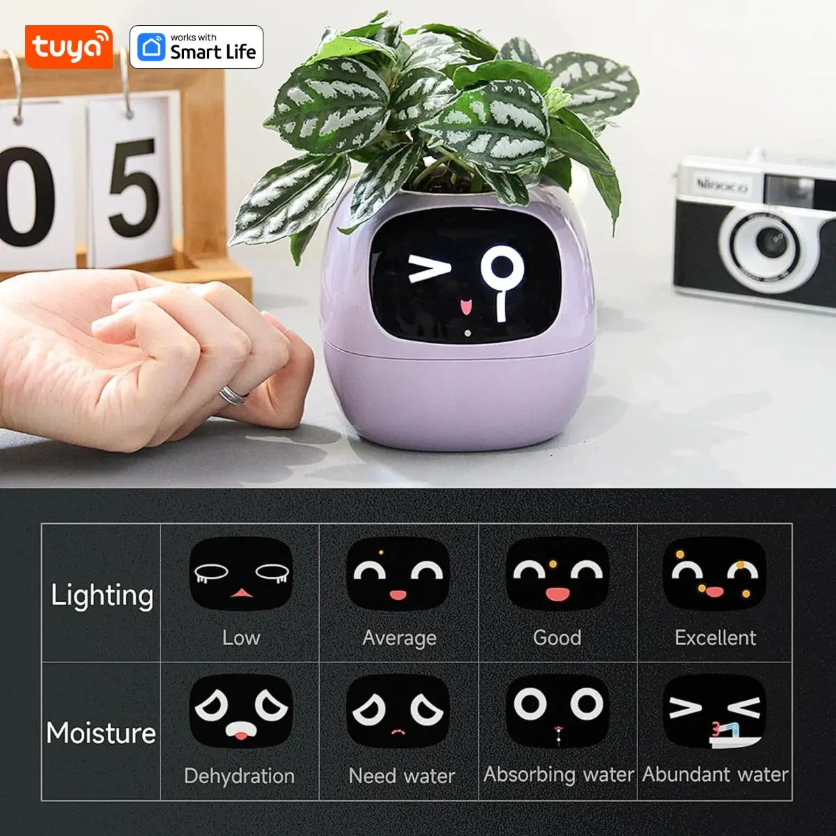 Purple Tuya Ivy Smart Planter,Endless Fun Over 49 Rich Expressions,7 smart sensors and AI Chips Make Raising Plants Easy and Fun