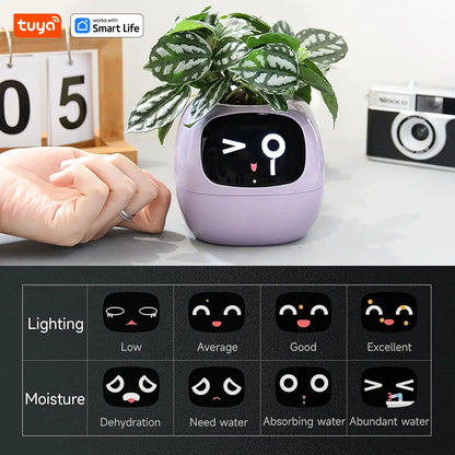 Tuya Smart Life Planter,Endless Fun Over 49 Rich Expressions,7 smart sensors,AI Chips Make Raising Plants Easy and Fun