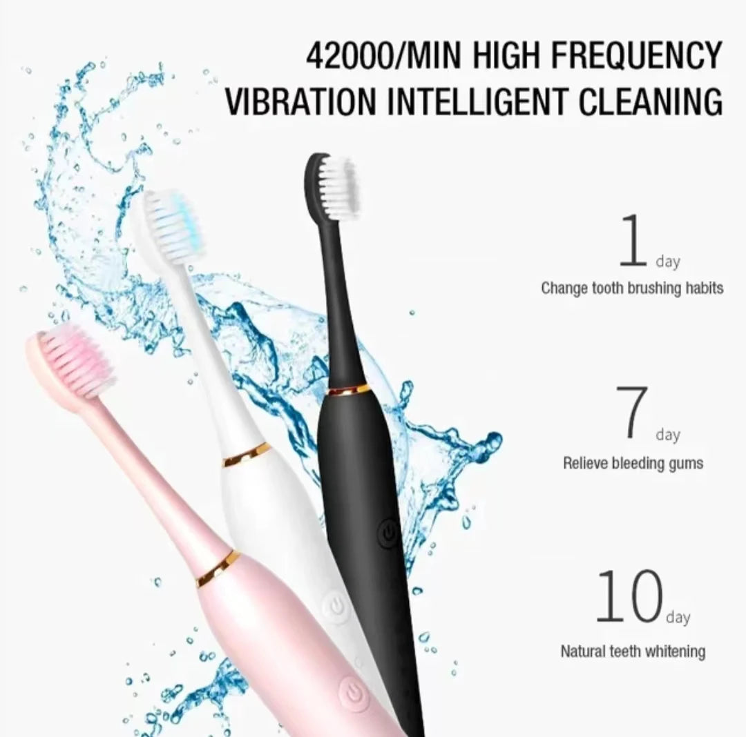 Sonic Electric Toothbrush for Adults IPX7 Waterproof DuPont Brush Head USB Rechargeable High Frequency Cleaning 6 Cleaning Modes