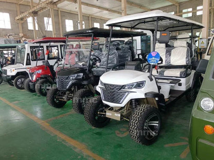 Customize New Club Sightseeing Golf Car 4/6 Seater 48V 60V Off-road Solar Electric Golf Cart - MarvelouStoree