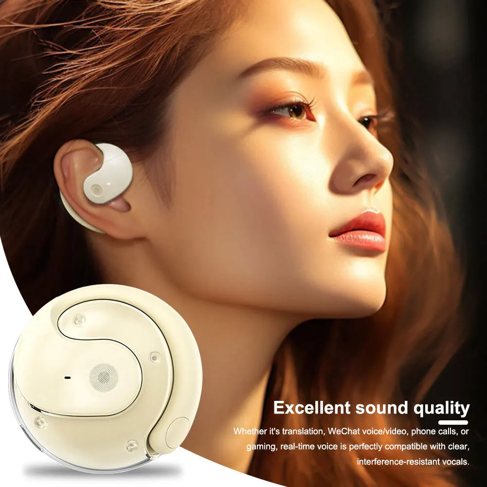 Wireless BT Translation Earbuds Real-time Translation Language Translation Device Earphones for Travel Business and Learning