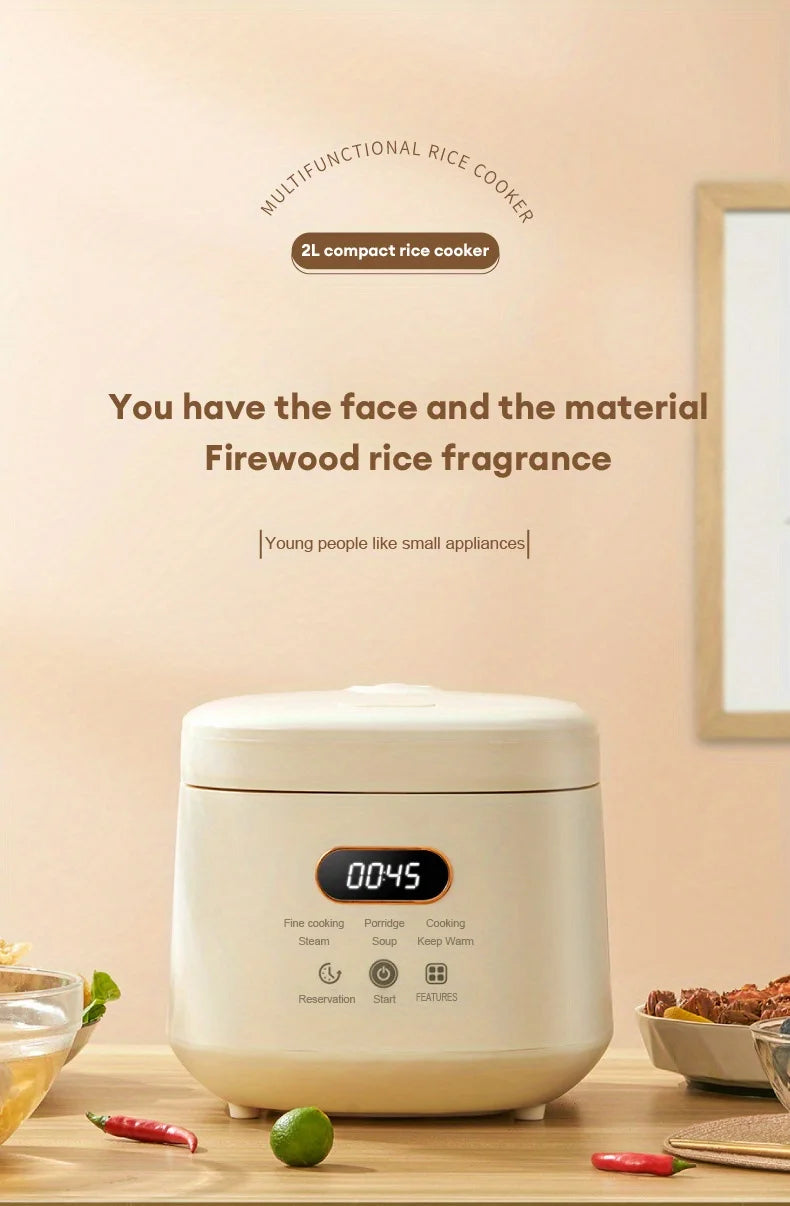 2L Electric Rice Cooker 1-3 People 110V 220V Multi Cooker Non-Stick Pot Smart Mechanical MultiCooker Steamed Rice Pot For Home