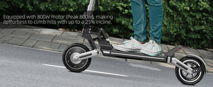 Foldable Electric Scooter ,48V 800W Motor E-Scooter,Range 25 Miles,20 Mph, Load 330lbs Electric Scooter for Heavy Adults