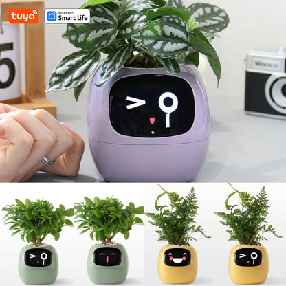 Tuya Smart Life Planter,Endless Fun Over 49 Rich Expressions,7 smart sensors,AI Chips Make Raising Plants Easy and Fun