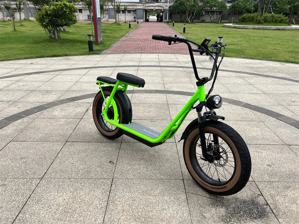 Newest two fat wheels Electric Motorcycle, powerful 1000w 48v motor changeable battery CITYCOCO with LCD Display