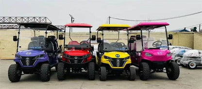 4 Wheel Drive Golf Buggy Car New Electric Hunting Golf Cart for Sale - MarvelouStoree