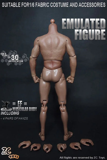 1/6 Scale Male Muscle Body S001 ZCtoys Like HTTTM19 12 Inch Military Solider Action Figure Body Model