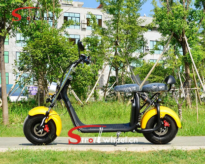 1000W 1500W 2000W 2 wheel electric scooter Citycoco electric scooter with removable lithium battery