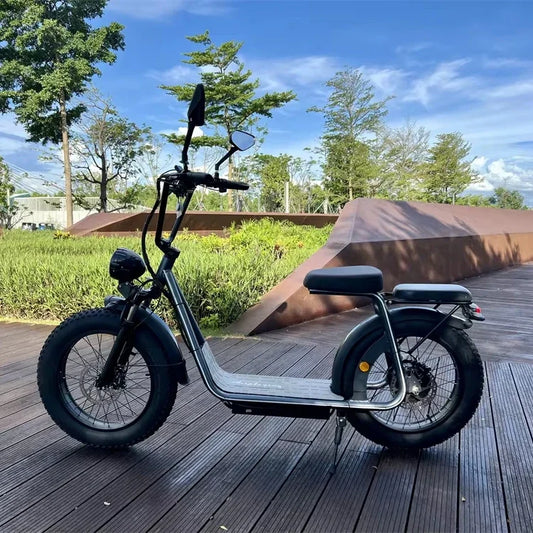 Hot Selling 20 Inch Tire  48V 1000W Off Road Kick Electric Scooter