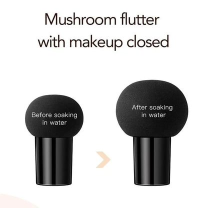 BB CC Cream Face Foundation Concealer Cushion Mushroom Base Waterproof Brighten Makeup Brightening Tone Cosmetics Make up