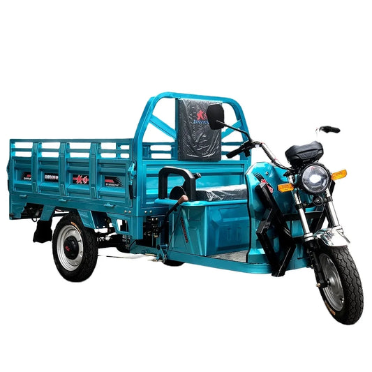 China factory DAYANG brand wholesale customized 72V 1000w electric tricycle for adult high quality electric cargo bike scooter